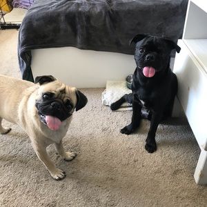 Meet your Posher, Shannon